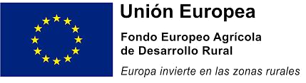 Union europea logo